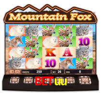 Daily Bonuses betuu